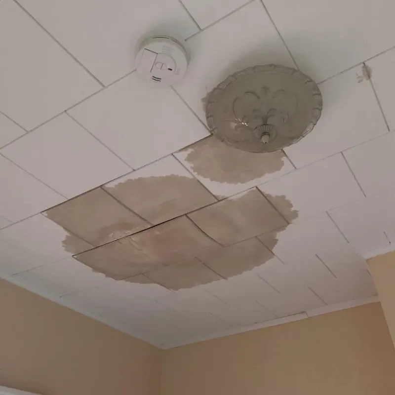 Ceiling Water Damage Repair in Edgewood, IN
