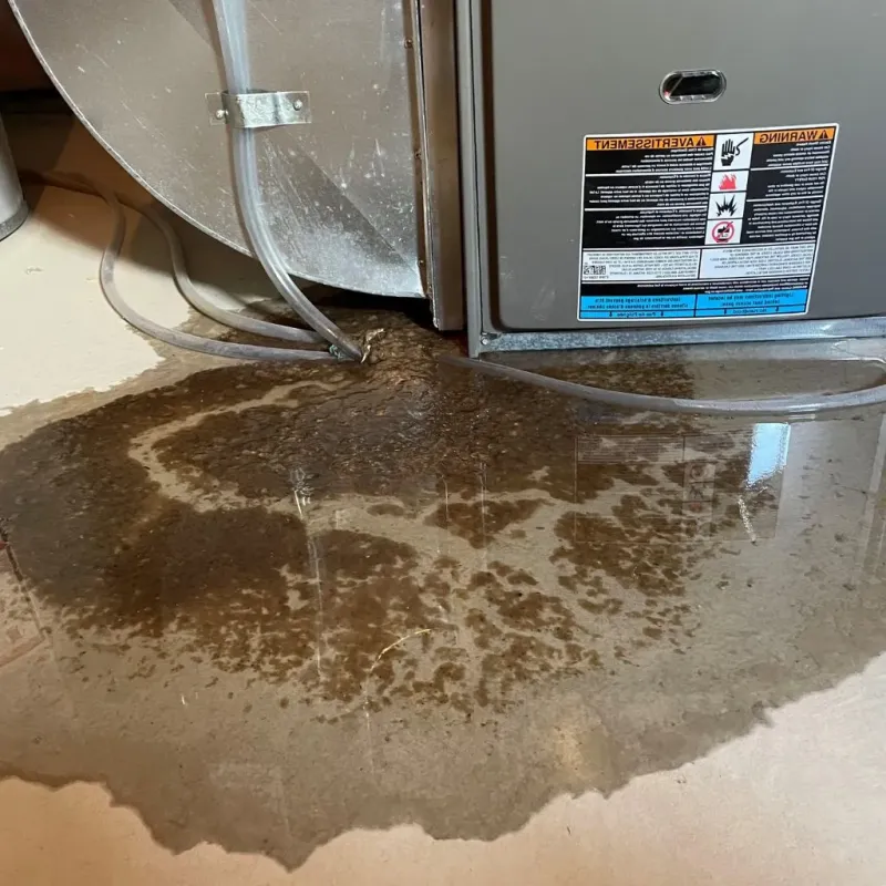 Pipe Burst and Leak Restoration in Edgewood, IN