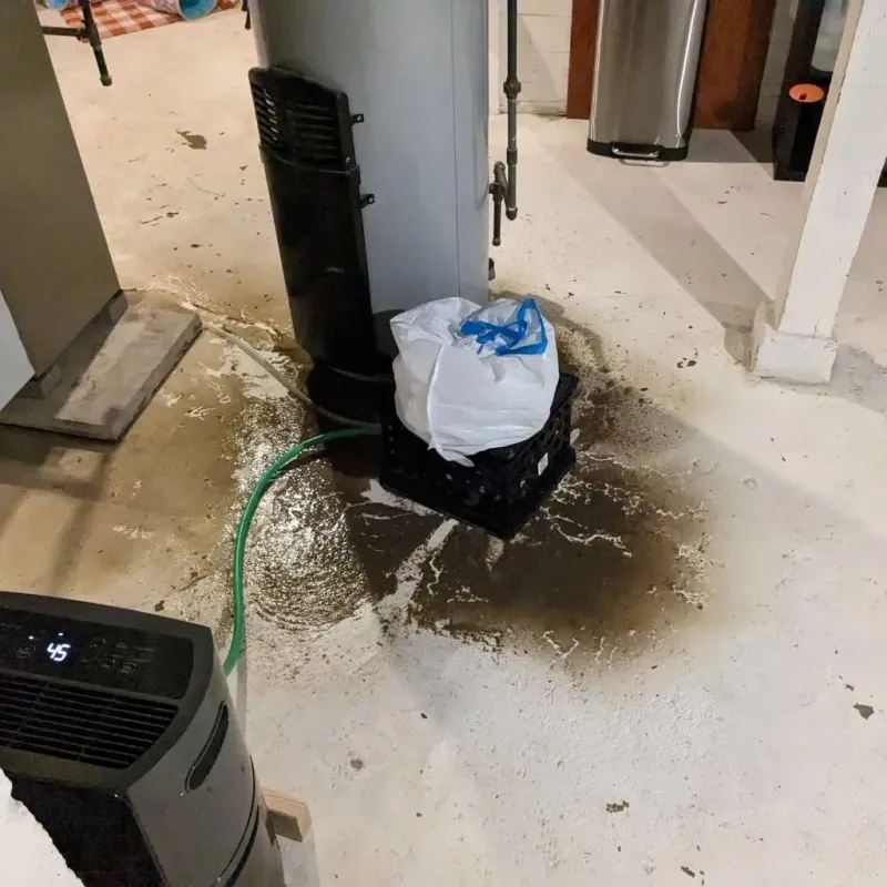 Sewage Backup Cleanup Service in Edgewood, IN